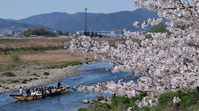 【官方票】 JR關西迷你鐵路周遊券3日 (電子兌換券)