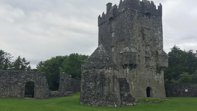 프라이빗 코네마라 일일투어