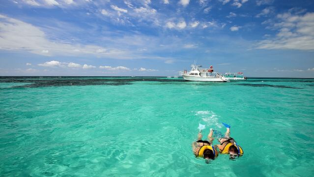 Escursione di un giorno a Key West da Miami con attività