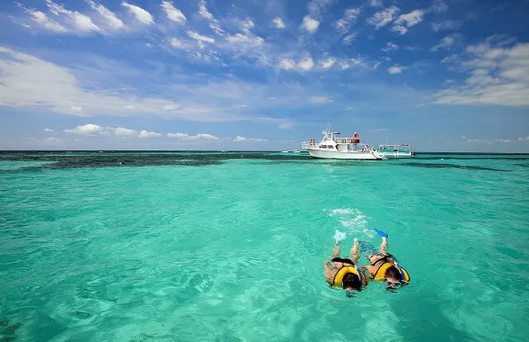 邁阿密出發基韋斯特一日遊連活動