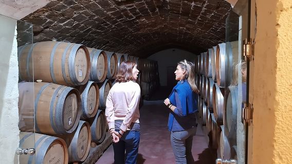 Arriving by cruise ship at Chania - Port of Souda