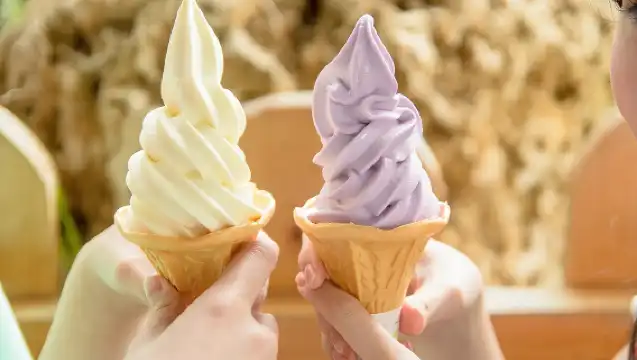 Okinawa Churaumi Aquarium & Nago Pineapple Park & Kouri Island day tour|Chinese,English, and Korean Audio Guide