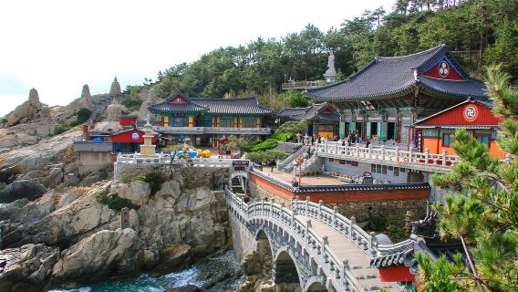 甘川文化村+札嘎其市場+海東龍宮寺+海雲台海水浴場+海水浴場