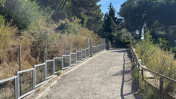 Sunrise at Tibidabo + local breakfast with views