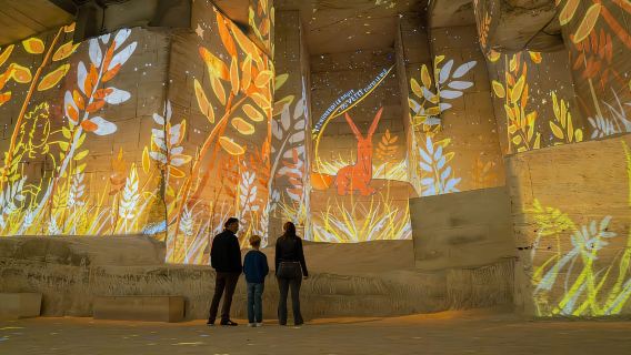 レ・ボー・ド・プロヴァンス:キャリエール・デ・リュミエール入場入場チケット星の王子さま