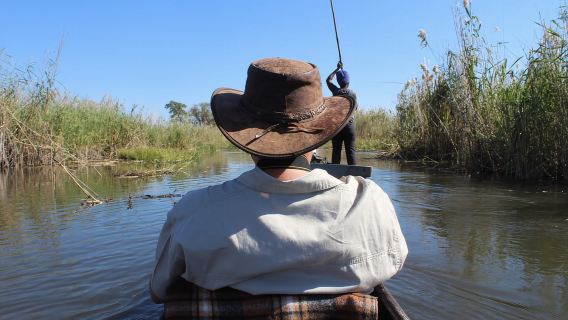 Okavango Delta: Mokoro Day Tour