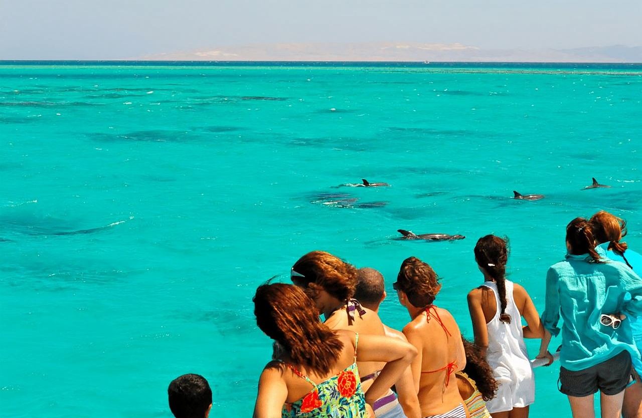 Key West: Dolphin & Reef Snorkel Trip with Sunset Option