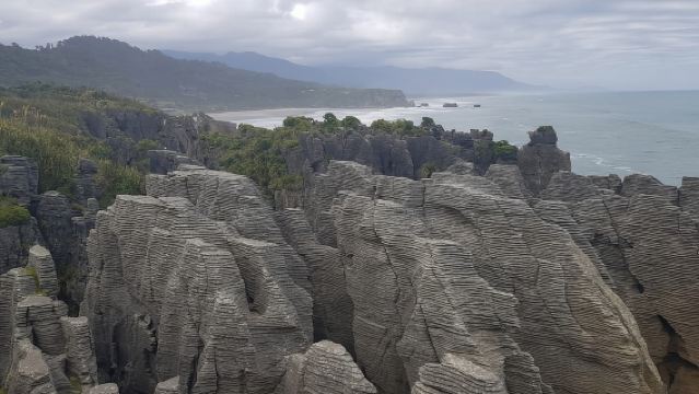 From Greymouth: Punakaiki Blowholes & Pancake Rocks Tour