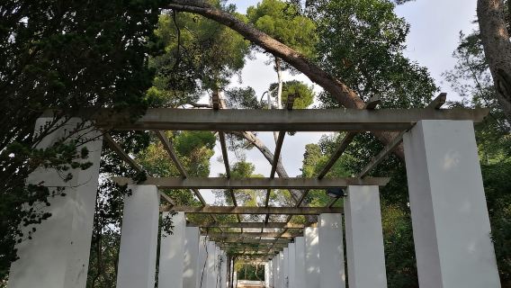 บาร์เซโลนา: ทัวร์เดินชม Montjuïc พร้อมชมการแสดงฟลาเมงโก (ตัวเลือกเสริม)