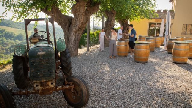 จากฟลอเรนซ์: ทัวร์ไวน์ชีอันตีกลุ่มเล็กพร้อมอาหารกลางวัน