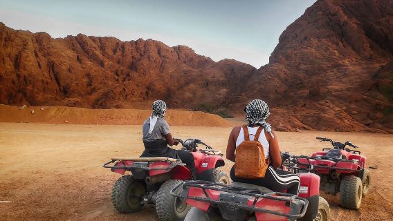 Hurghada: Basikal Empat, Laut, Unta, Safari, Melihat Bintang & Makan Malam