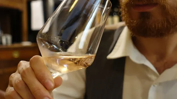 Wine Tasting near Royal Palace of Turin with Food Platter