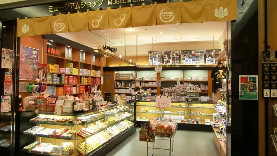 Osaka Castle: Museum and Tower Entry Ticket