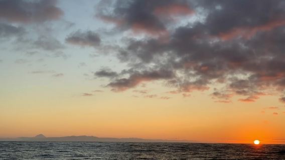 Terceira Island : Sunset Boat excursion with local drink