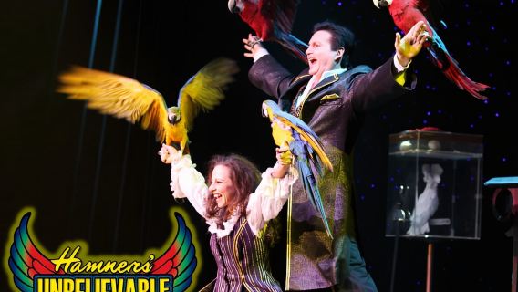 Branson: Hamners' Unbelievable Variety Show Entry Ticket