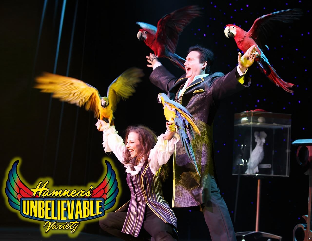 Branson: biglietto d'ingresso per l'incredibile spettacolo di varietà di Hamners