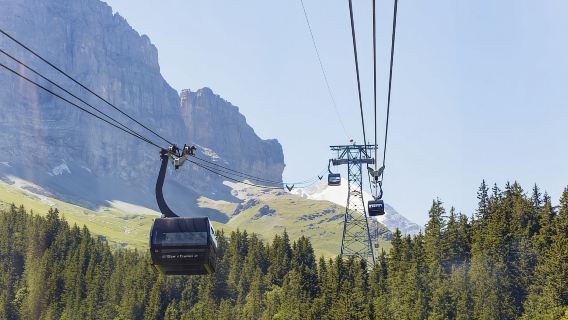 Dari Zurich: Perjalanan Sehari Berpemandu ke Jungfraujoch dengan Naik Kereta Api