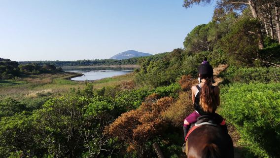Alguer: Paseo a caballo guiado por el lago Baratz