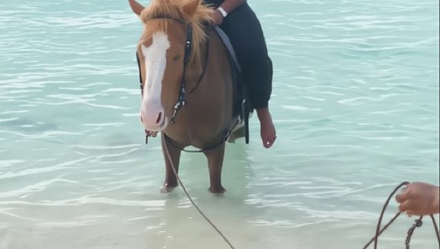 Grand Turk: Trải nghiệm cưỡi ngựa/Cockburn Town