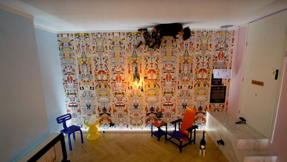 Rijksmuseum + Sarphatipark + The Upside Down Amsterdam Day Tour