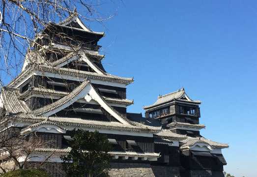 1-day tour from Fukuoka: Kumamoto Castle + Aso Volcano Exploration + Kusasenri|Admission ticket not included