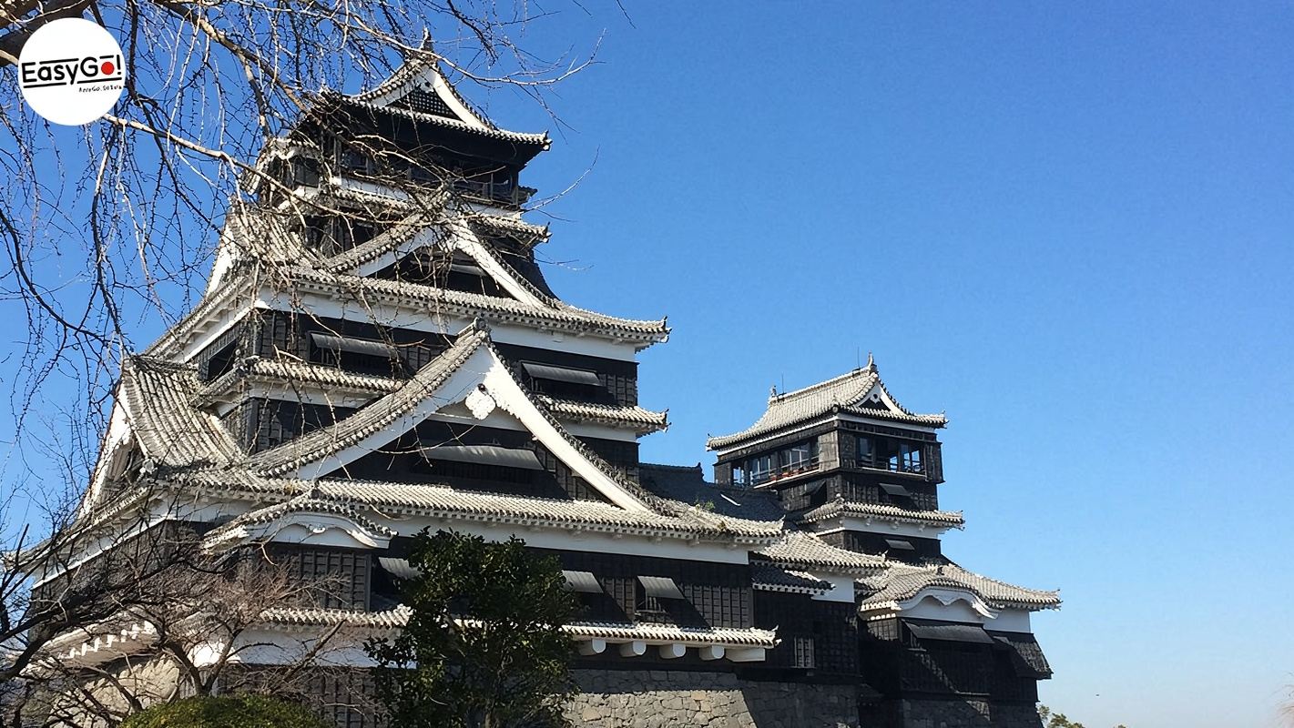 Partenza da Fukuoka: Trasporto dedicato per il Castello di Kumamoto, il cratere del vulcano Aso e l'esperienza di equitazione a Kusasenri