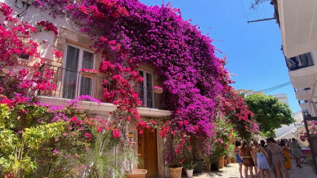 Ibiza: Dalt Vila Walking Tour with Sangría/Sangría Workshop