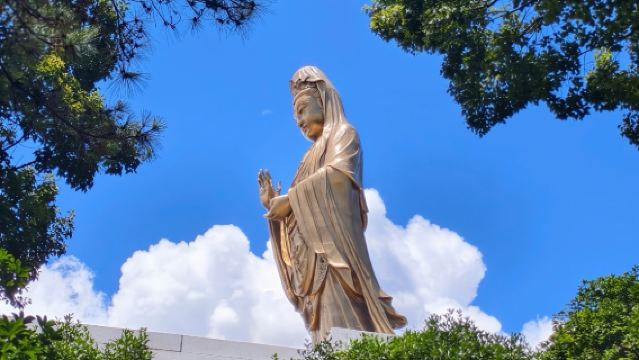 舟山普陀山風景區一日遊 全程土著導遊解【朱家尖碼頭出發】