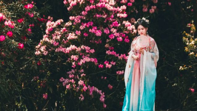 Lawatan Sehari ke Kawasan Pemandangan Biji Dujuan Baili di Guizhou "Pita Warni Bumi · Nikmati dalam Sehari | Pakej Tanpa Belanja"