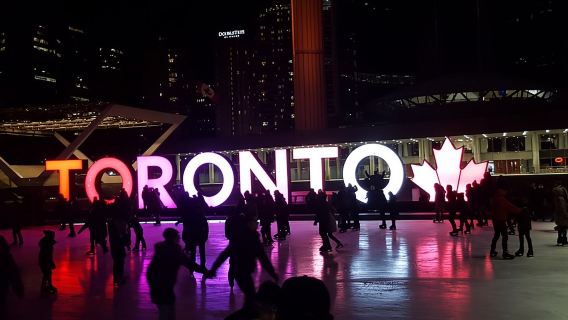 Private Transfer Toronto Pearson Airport To Toronto Hotels/Airbnb