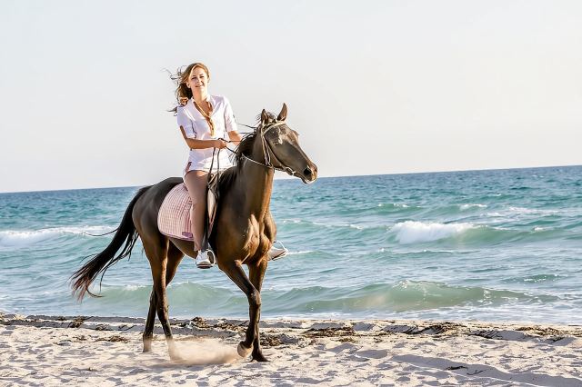 Bodrum Horseback Riding Experience with Hotel Transfer