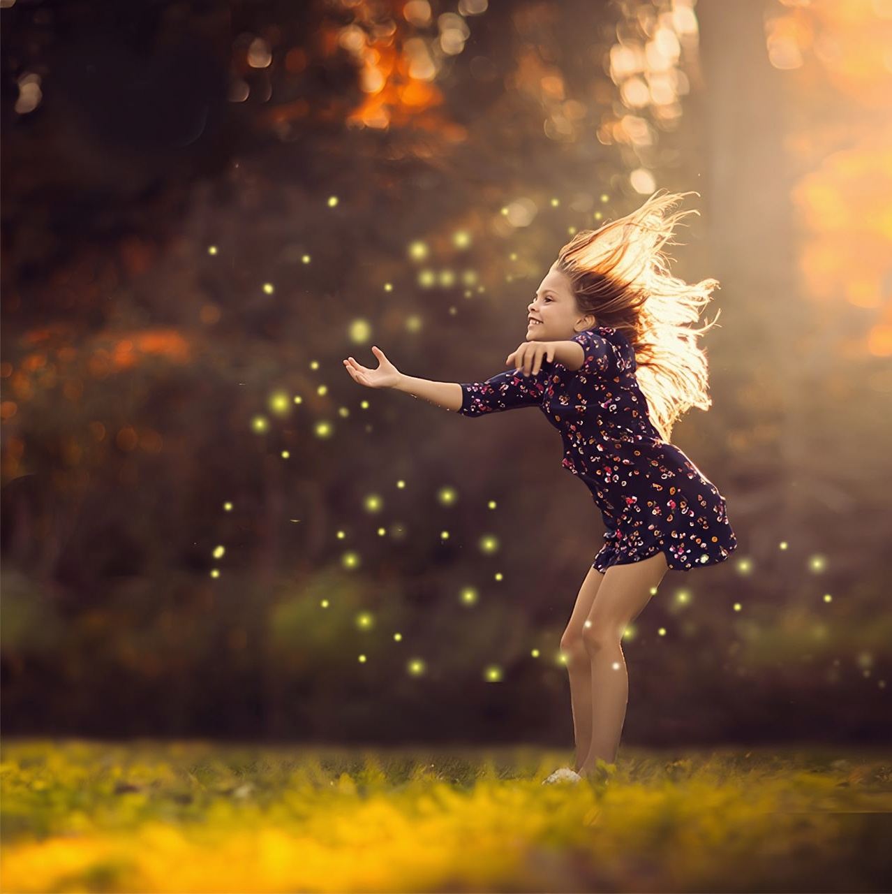 Upgrade auf selbst geführte Doppelkanal-Tour – Echter Kawa-Mangroven-Tagesausflug / Ein Fahrzeug, ein Guide / Kleingruppen möglich