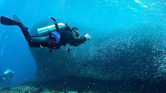 Depuis Cebu : excursion d'une journée avec plongée libre à Moalboal Sardine Storm et canyoning aux chutes de Badian Kawasan