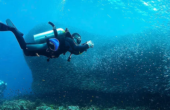 宿霧出發：墨寶沙丁魚風暴浮潛+巴迪安卡瓦森瀑布峽谷探險一日遊