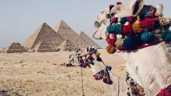 Private Day Trip To Giza Pyramids, Memphis City Dahshur & Saqqara Pyramids 