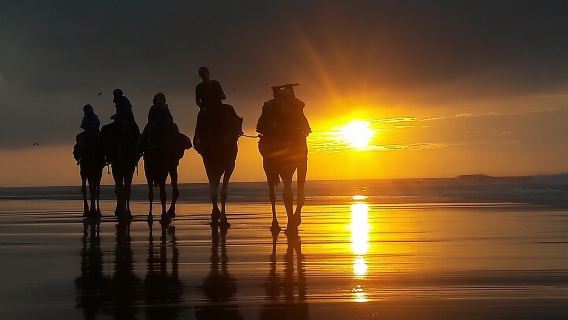 Essaouira P12: 1-stündige Quad-Tour und 1-stündiger Dromedarritt