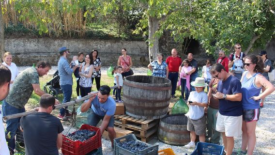 Pompeii Wine Tasting Tour from Positano