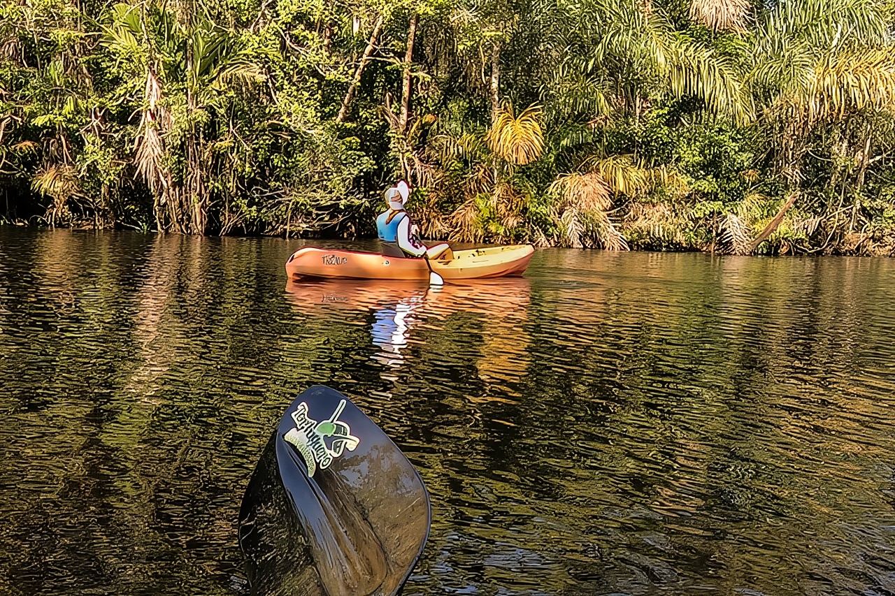 Excursión en kayak