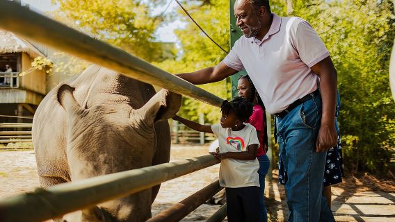 Kombitickets für Norfolk – Virginia Zoo & Schlachtschiff Wisconsin