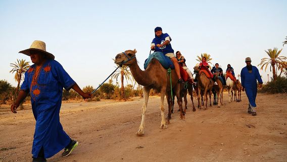Camel ride + sunset + BBQ dinner in Agadir