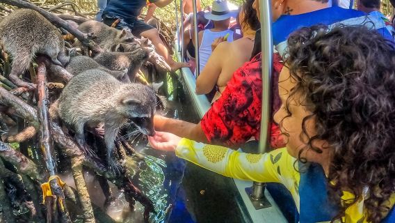 Magico tour di un giorno intero attraverso le mangrovie e la spiaggia di Isla de Barú