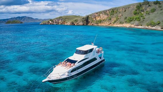 Komodo Speedboating one-day tour|Padar Island + Komodo Island + Pink Beach Speedboating, Snorkeling