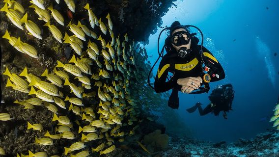 Discover Scuba Diving Adventure in Dubai with Private Transfer