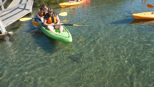 Batemans Bay Glass-Bottom Kayak Tour Over 2 Relaxing Hours