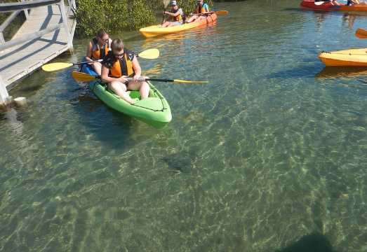 Batemans Bay Glass-Bottom Kayak Tour Over 2 Relaxing Hours Batemans Bay Glass-Bottom Kayak Tour Over 2 Relaxing Hours