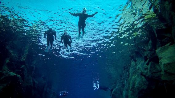 IJsland: snorkelen in de Silfra-kloof en eendaagse tour naar de Gouden Cirkel|Professionele coach 1 begeleidt 6 studenten|Gratis foto's