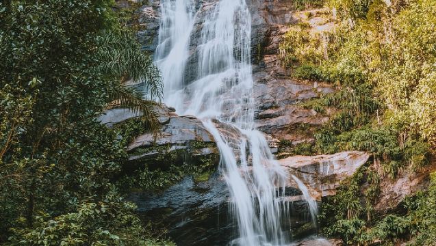 Rio de Janeiro Botanical Garden & Tijuca Forest Tour