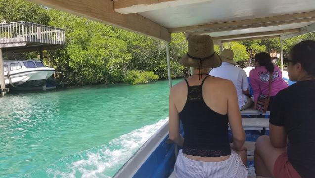 Mangrove Tunnel, Garifuna village,food tasting,wildlife encounter