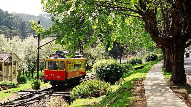 La Suisse brésilienne - Excursion d'une journée à Campos do Jordão au départ de São Paulo