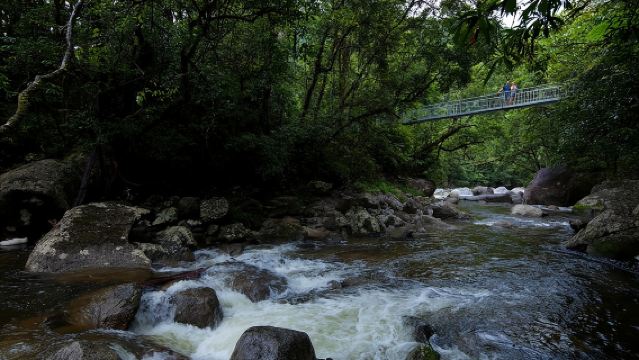 Cape Tribulation, Mossman Gorge and Daintree Rainforest Day Tour
